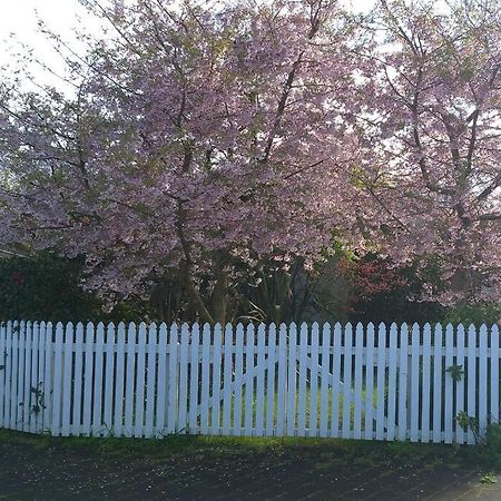 Sweet Guesthouse Waitara Exterior photo
