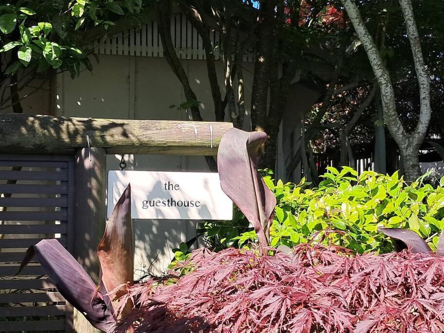 Sweet Guesthouse Waitara Exterior photo