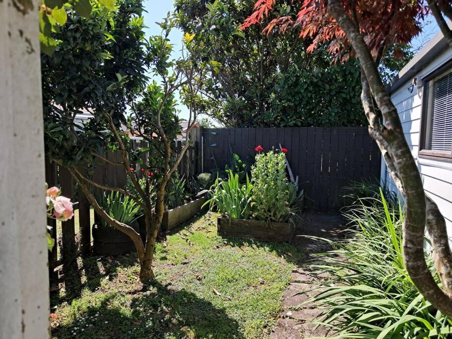 Sweet Guesthouse Waitara Exterior photo