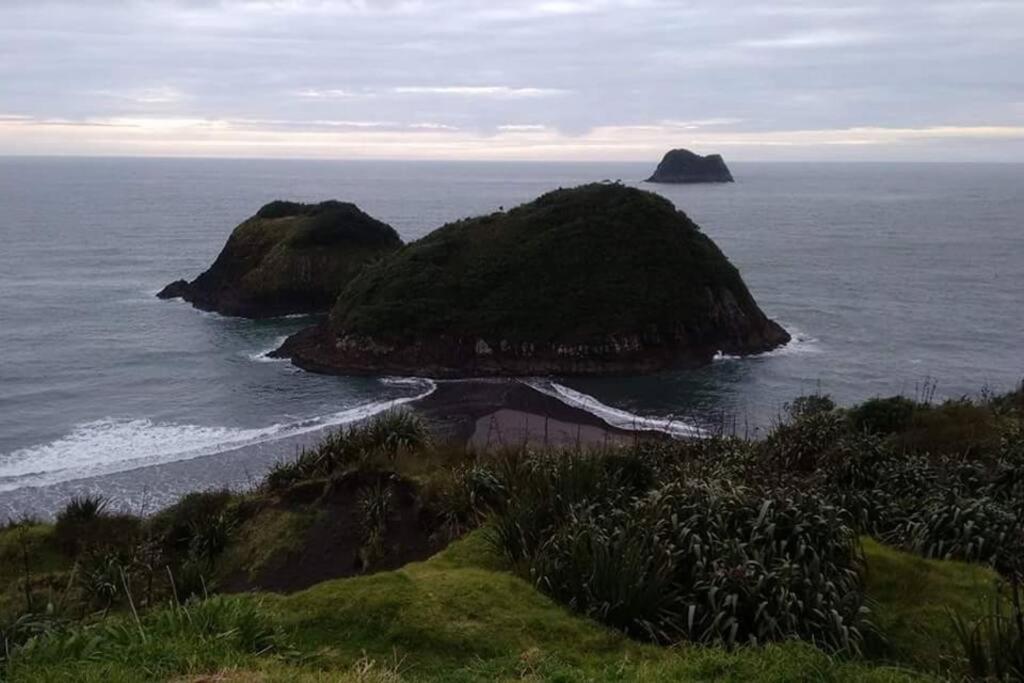 Sweet Guesthouse Waitara Exterior photo