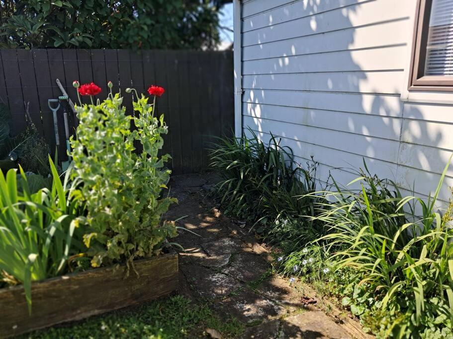 Sweet Guesthouse Waitara Exterior photo